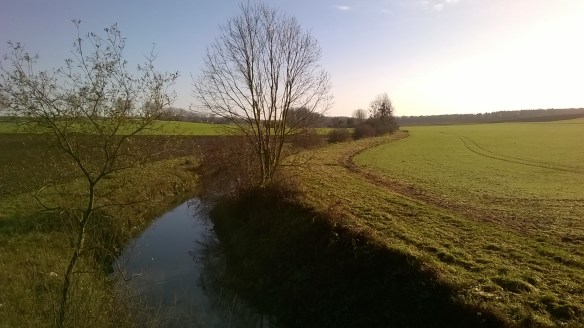 WP_20151128_10_35_20_Pro