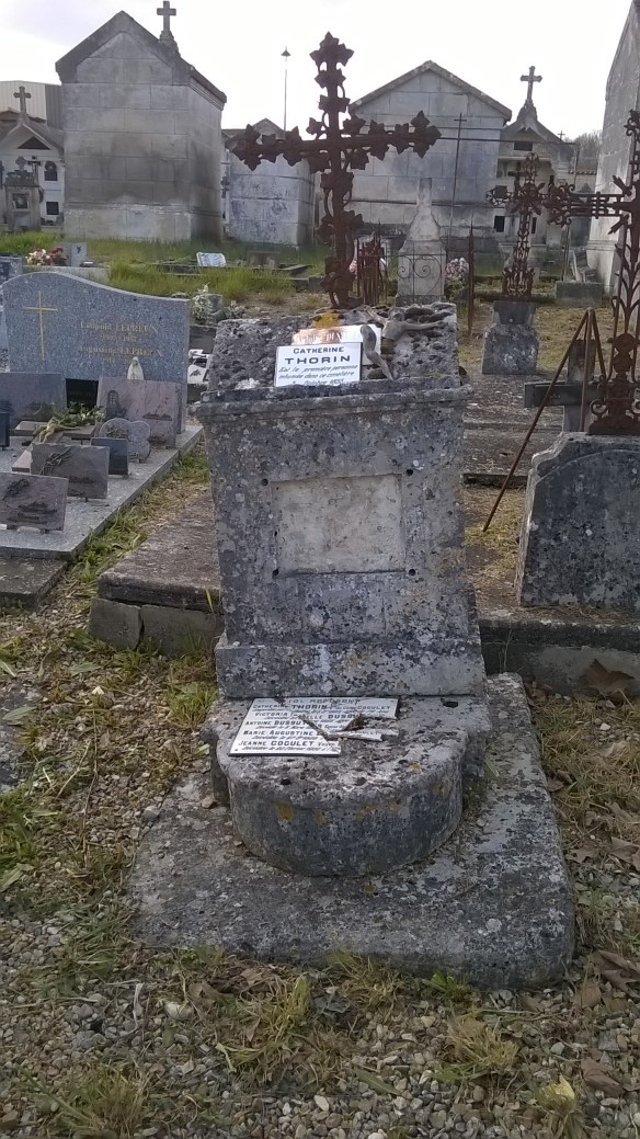 WP_20160327_17_05_57_Pro