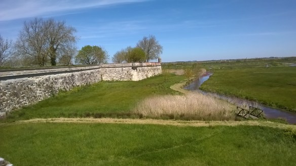 WP_20160419_13_29_45_Pro